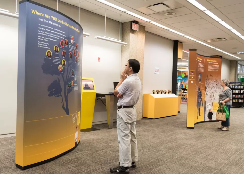 旅行的客人查看面板人类起源的斯科奇公共图书馆展览科伊利诺斯州